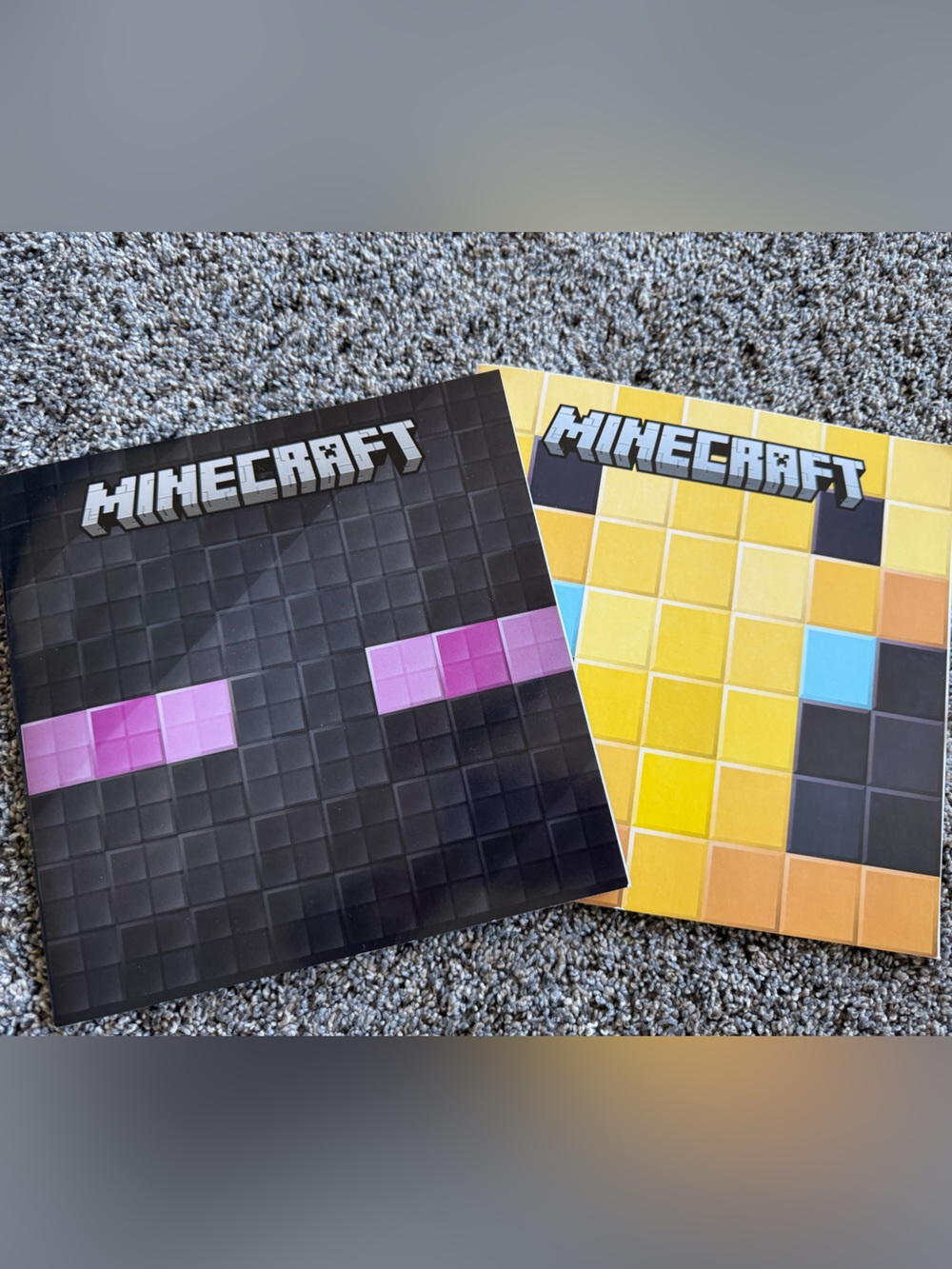 Official Minecraft Books – Enderman & Behive (Set of 2)